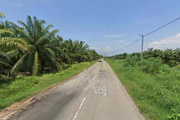 Mainroad frantage Agriculture Land for Sale