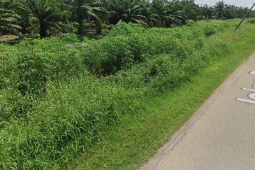 Mainroad frantage Agriculture Land for Sale
