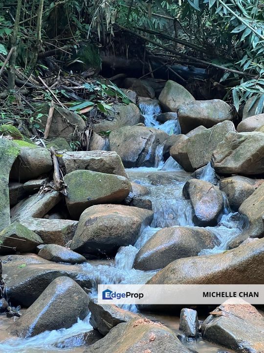 Tanarimba Janda Baik Rainforest Residential Estate, Pahang, Bentong