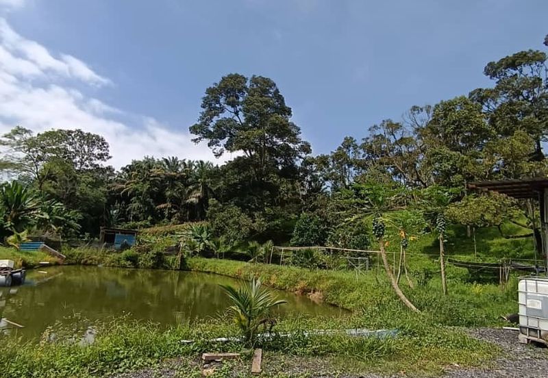 Mantin Seremban Agriculture Land