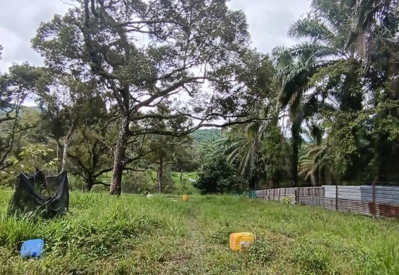 Mantin Seremban Agriculture Land