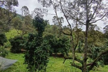 Mantin Seremban Agriculture Land