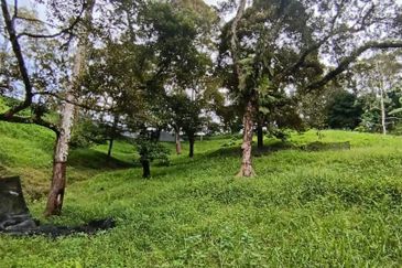 Mantin Seremban Agriculture Land