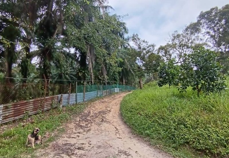 Mantin Seremban Agriculture Land