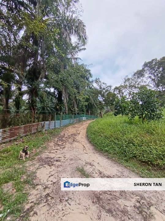 Mantin Seremban Agriculture Land, Negeri Sembilan, Mantin