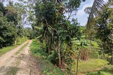 Mantin Seremban Agriculture Land