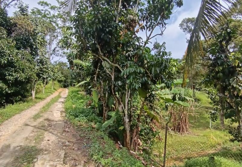 Mantin Seremban Agriculture Land