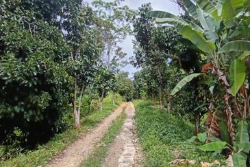 Mantin Seremban Agriculture Land