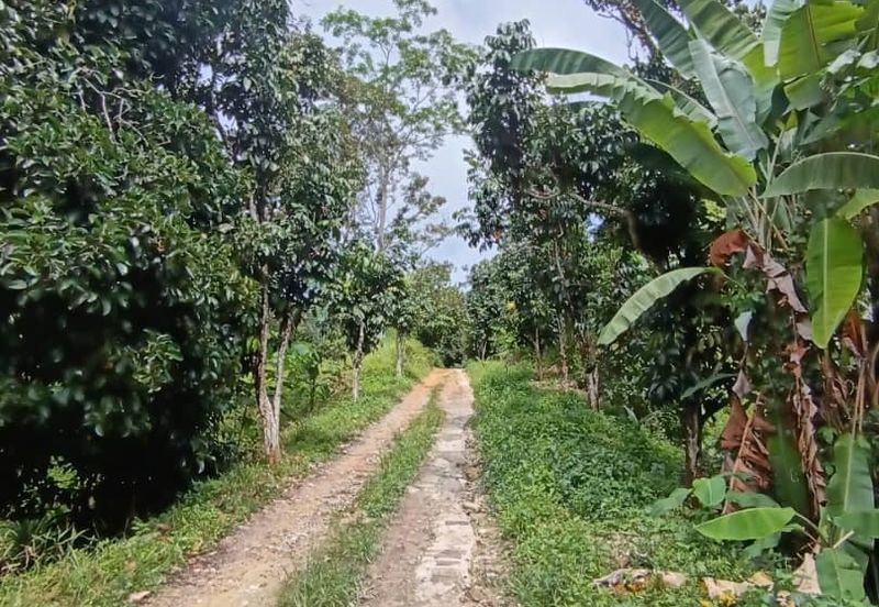 Mantin Seremban Agriculture Land