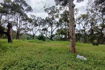 Mantin Seremban Agriculture Land