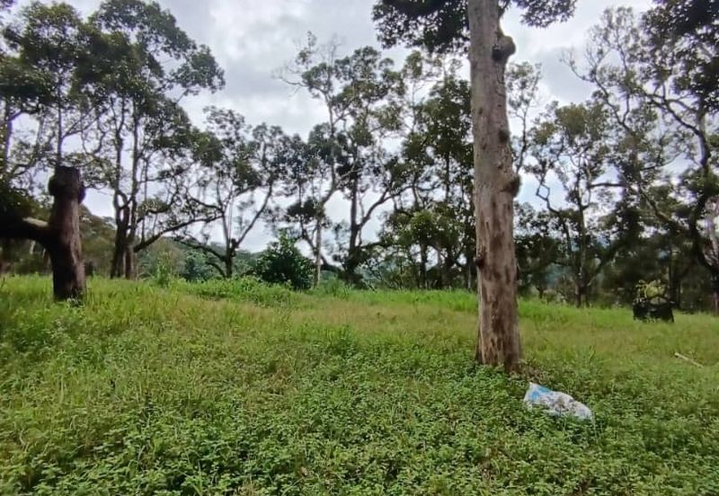 Mantin Seremban Agriculture Land