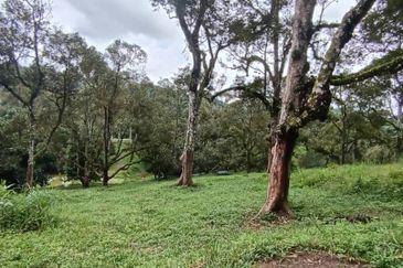 Mantin Seremban Agriculture Land