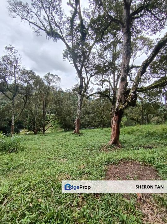 Mantin Seremban Agriculture Land, Negeri Sembilan, Mantin