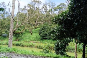 Mantin Seremban Agriculture Land