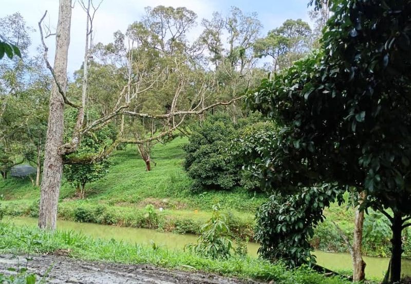 Mantin Seremban Agriculture Land