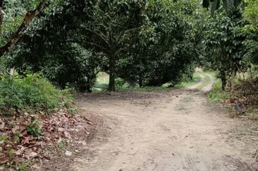 Mantin Seremban Agriculture Land