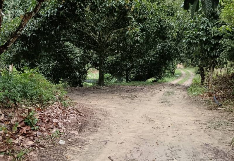 Mantin Seremban Agriculture Land