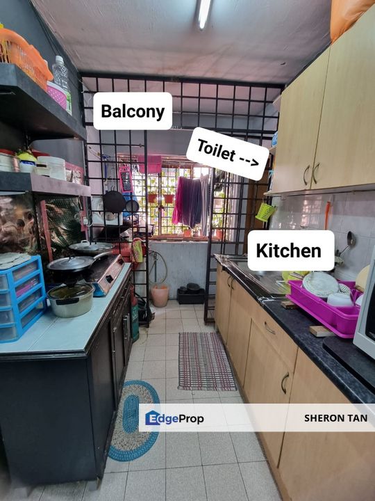 Lestari Damansara Damai , Selangor, Damansara Damai