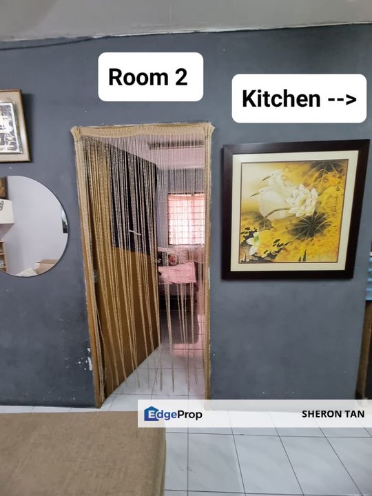 Lestari Damansara Damai , Selangor, Damansara Damai