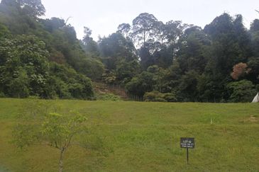 The Peak @ Taman TAR