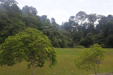 The Peak @ Taman TAR