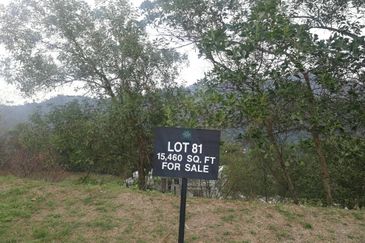 The Peak @ Taman TAR