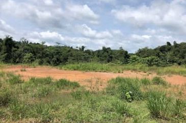 Below market price Agricultural Land For Sale 10.000 per/ekar ROMPIN PAHANG