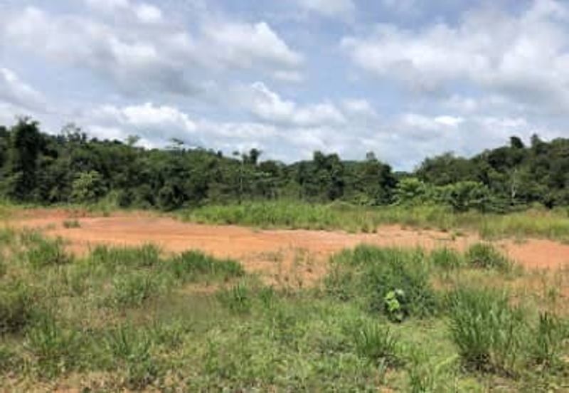 Below market price Agricultural Land For Sale 10.000 per/ekar ROMPIN PAHANG