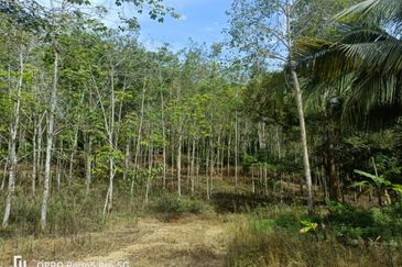 Below market price Agricultural Land For Sale 10.000 per/ekar ROMPIN PAHANG