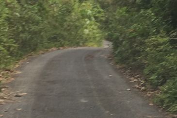 Freehold agriculture land with 25 yo rubber trees for sale