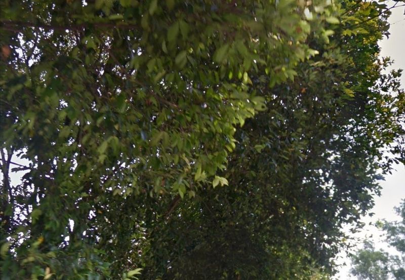 Taman Desa Permai, Bandar Sungai Long