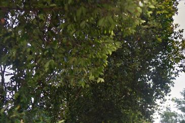 Taman Desa Permai, Bandar Sungai Long