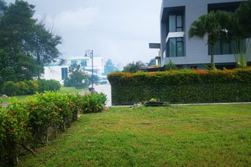 The Lotus of The Mines