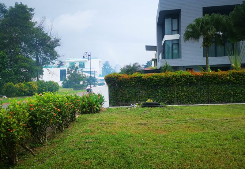 The Lotus of The Mines