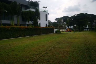 The Lotus of The Mines