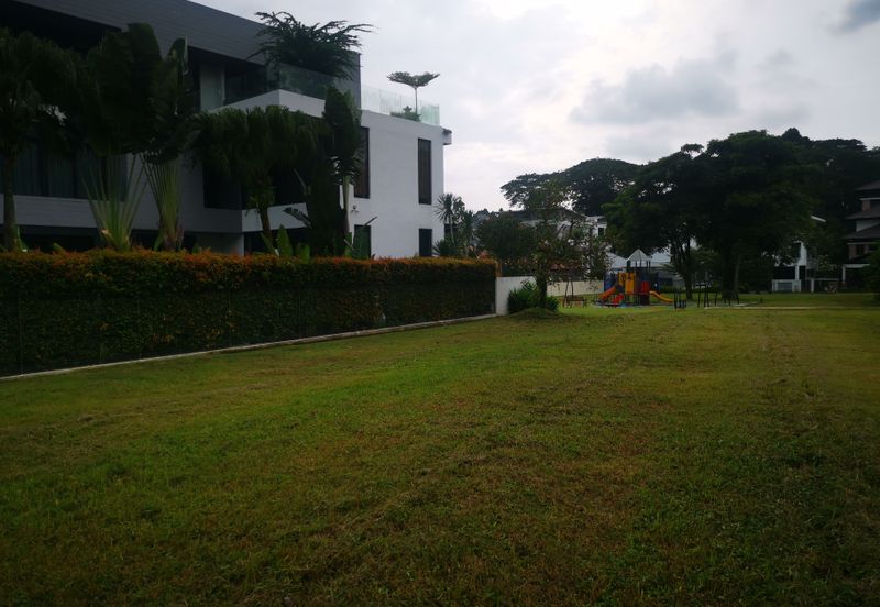 The Lotus of The Mines