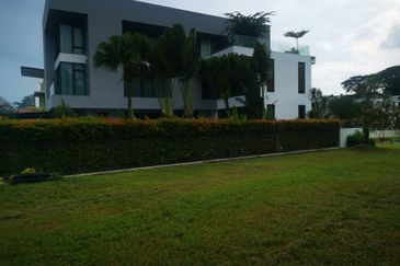 The Lotus of The Mines