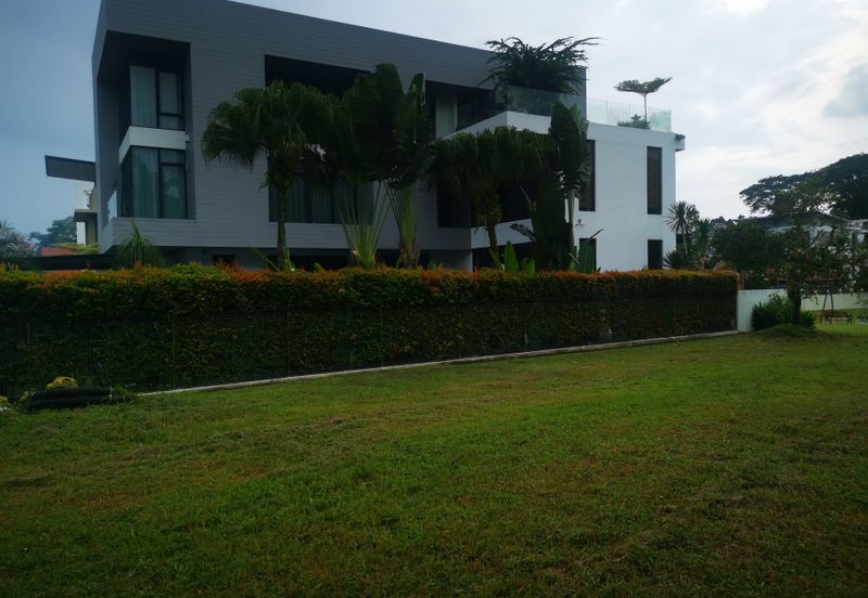 The Lotus of The Mines