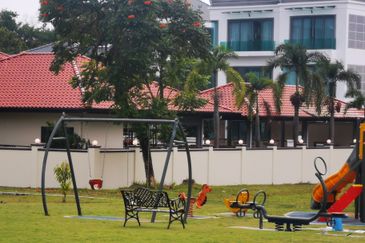 The Lotus of The Mines