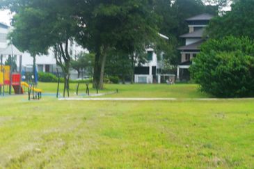 The Lotus of The Mines