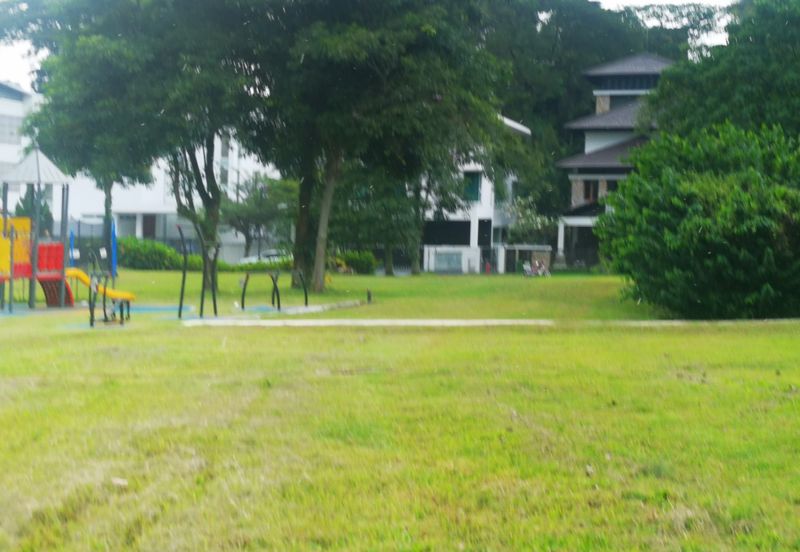 The Lotus of The Mines