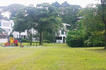 The Lotus of The Mines