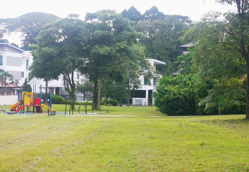 The Lotus of The Mines