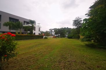 The Lotus of The Mines