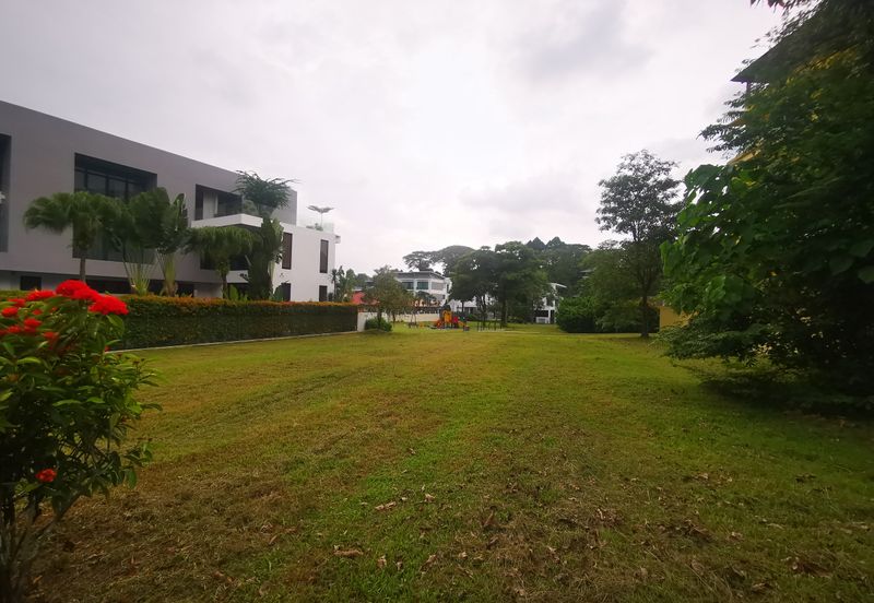 The Lotus of The Mines