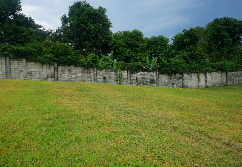 The Lotus of The Mines