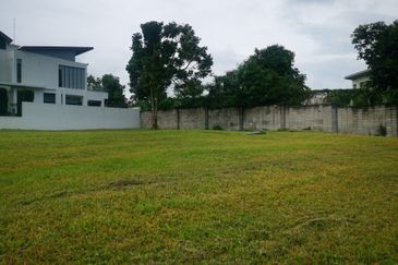 The Lotus of The Mines