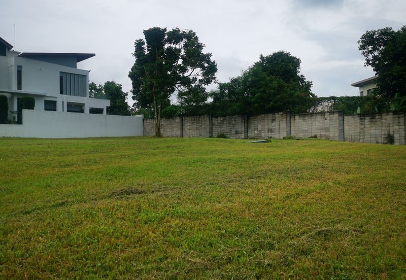 The Lotus of The Mines