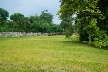 The Lotus of The Mines