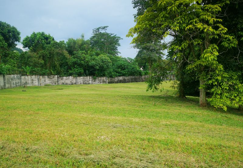 The Lotus of The Mines